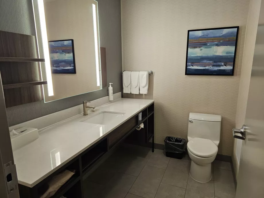 Hilton Garden Inn, vonios kambarys