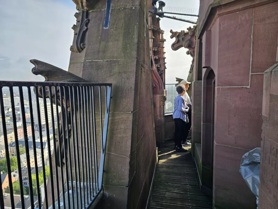 Vaizdas iš Domturmo