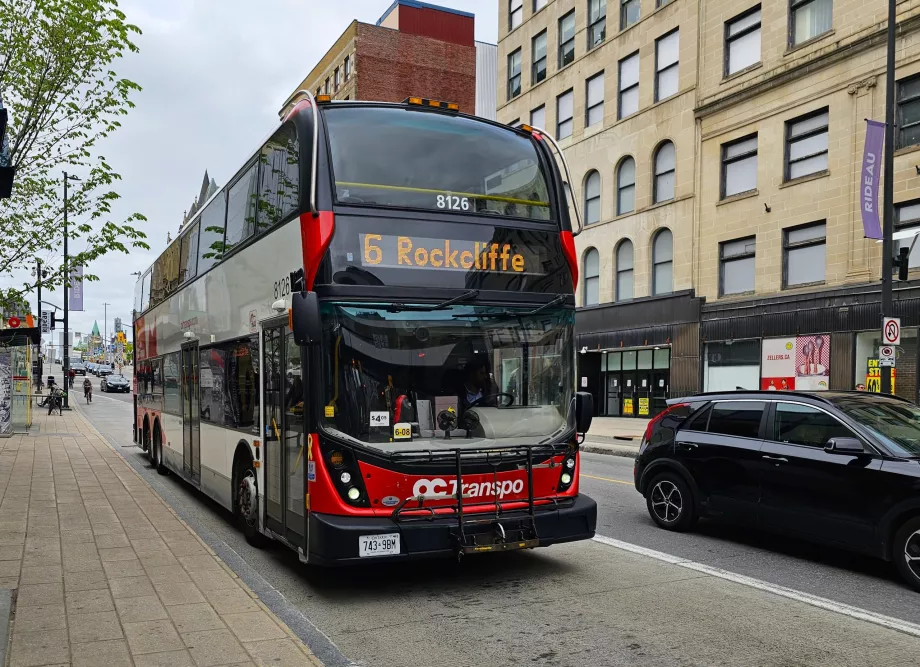 Autobusas "Transpo