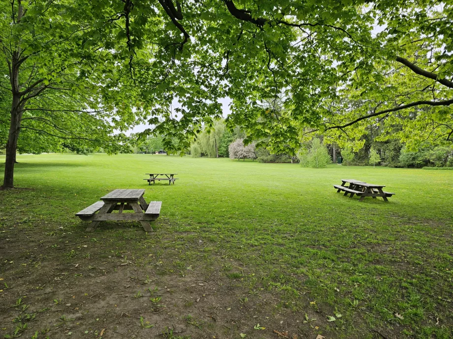 Rido salė