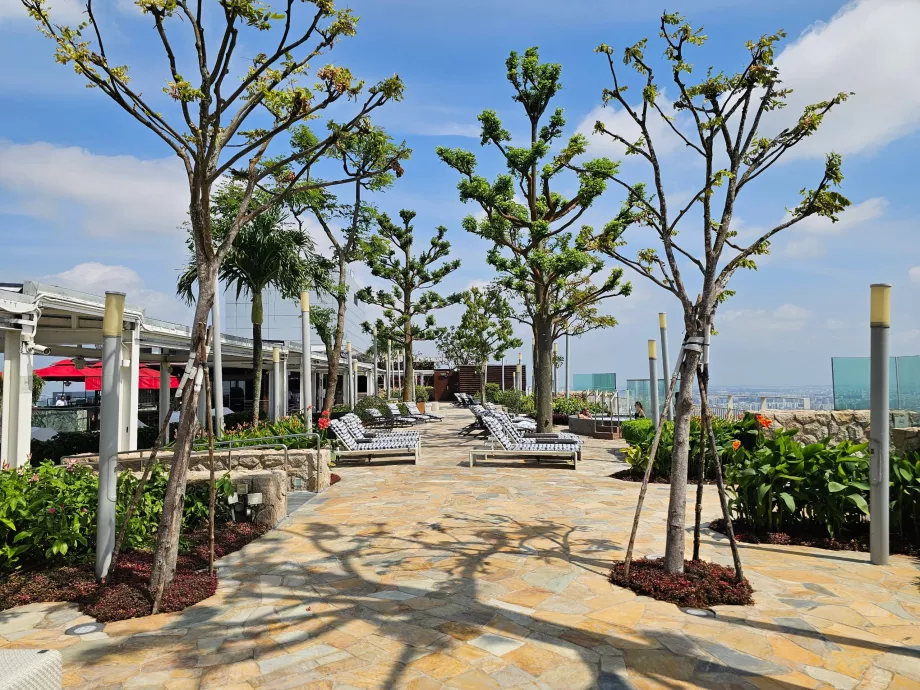 Šezlongai ant MBS viešbučio stogo terasos