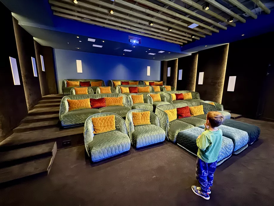 Swissotel Damian Jasna kino teatras