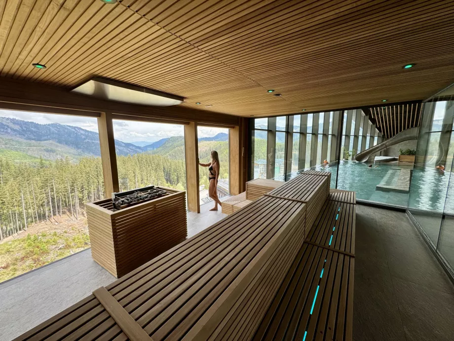 Šeimos sauna baseino teritorijoje