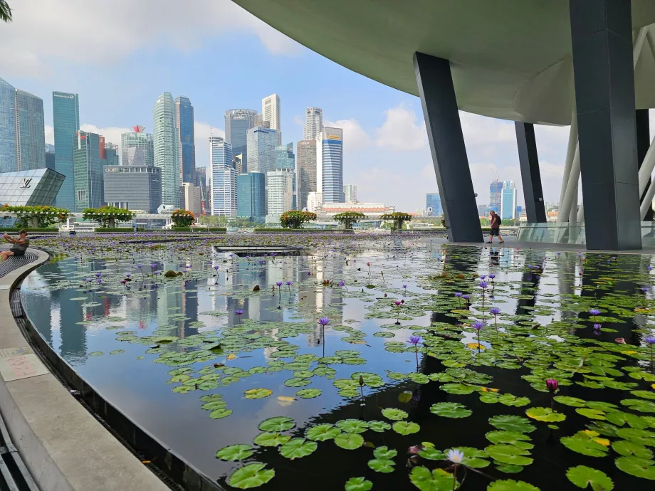 Meno ir mokslo muziejus