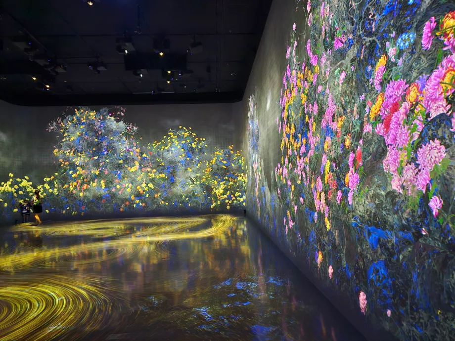 Meno ir mokslo muziejus