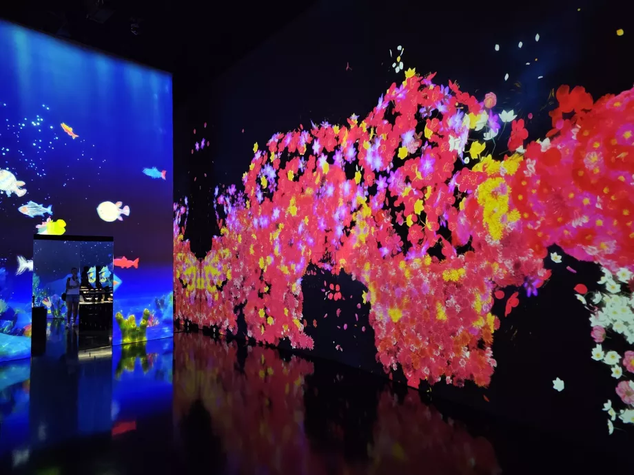 Meno ir mokslo muziejus