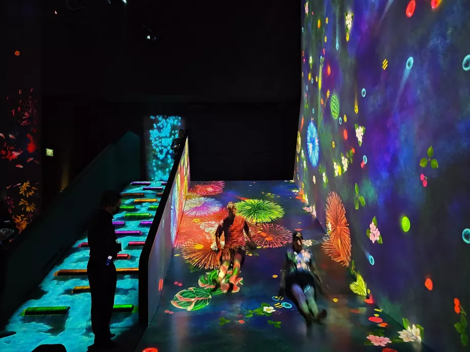 Meno ir mokslo muziejus