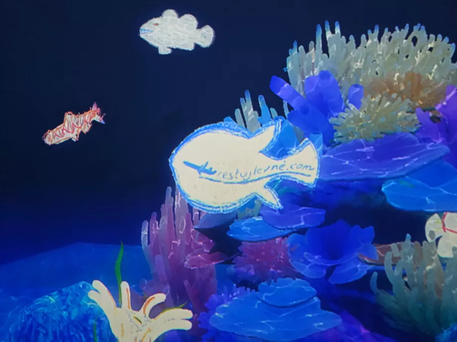 Meno ir mokslo muziejus