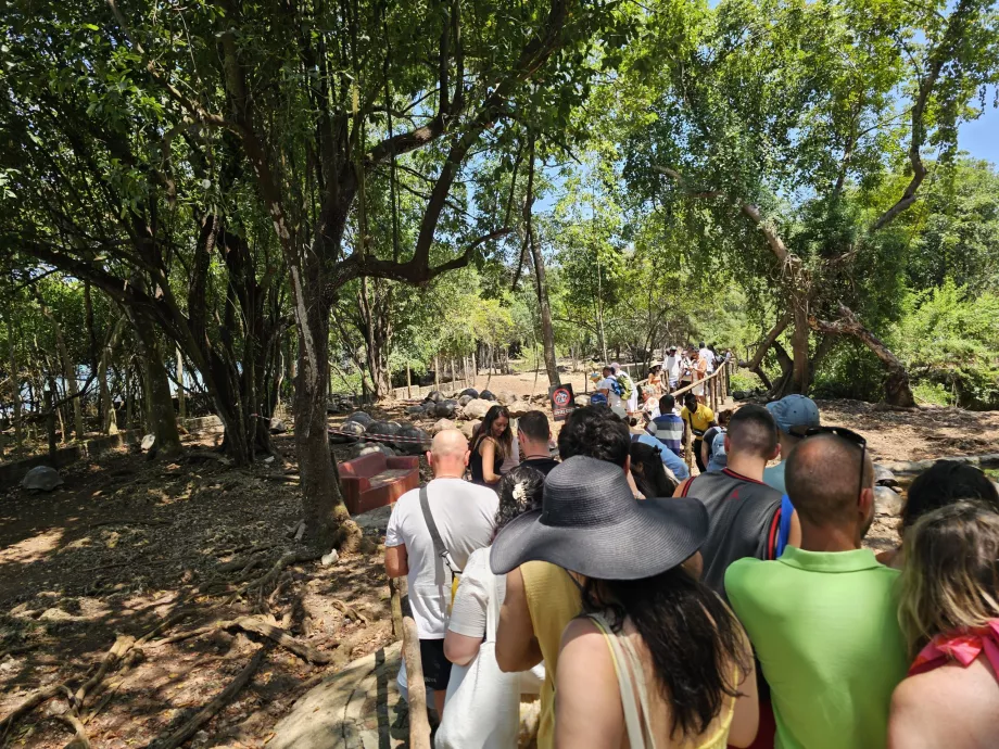 Kalėjimo sala, takas per milžiniškų vėžlių aptvarą