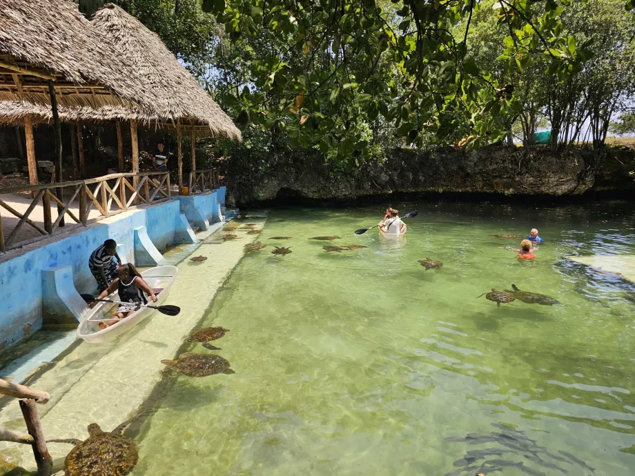 Nungwi, Mnarani Akvariumas
