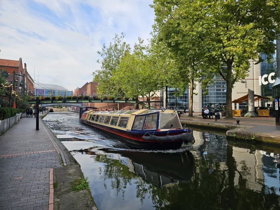 Siauraplaukis Birmingemo kanaluose