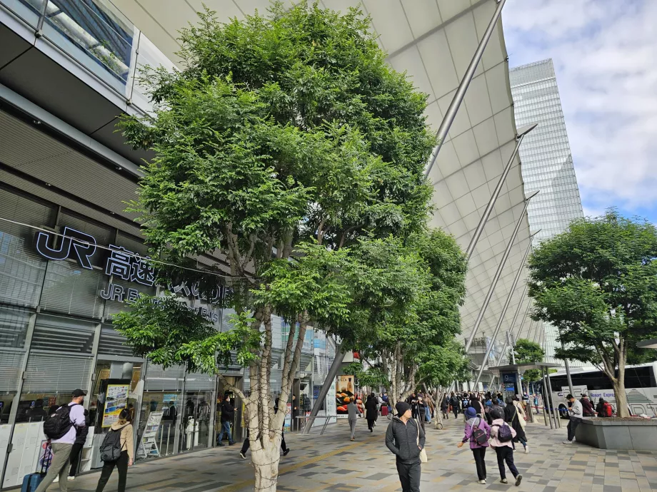 Tokijo centrinė autobusų stotis
