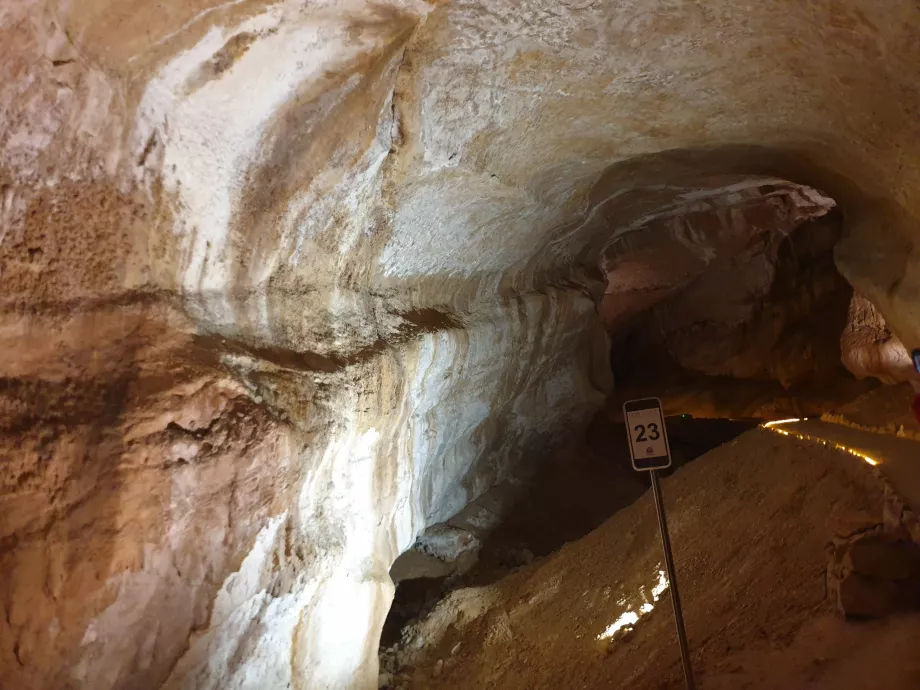 Mammoth Cave, Steffen 962 / Wikimedia Commons, CC BY-SA 4.0