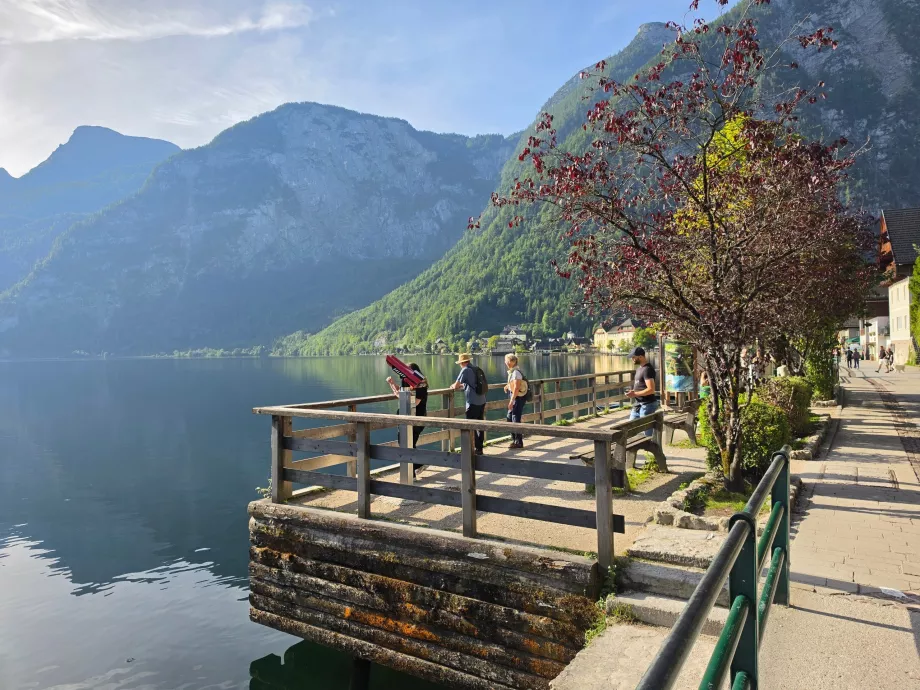 Promenada nuo miesto centro iki Lahn upės pakrantės