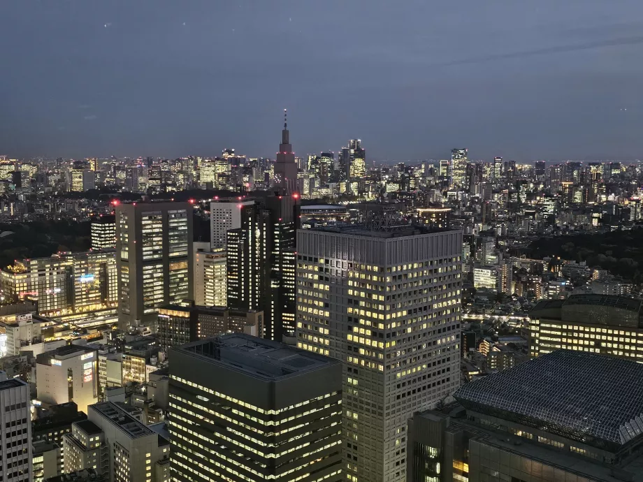 Tokijo metropolijos vyriausybės pastatas