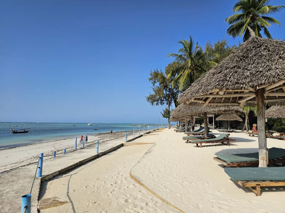 Šezlongai ir skėčiai