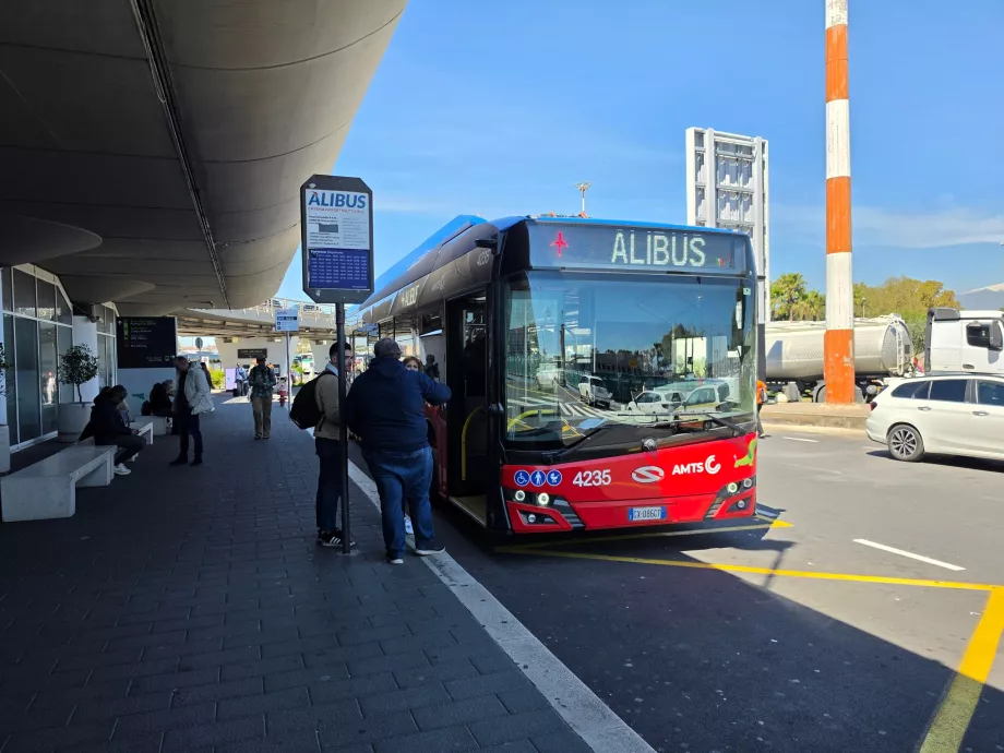 Alibusas į Katanijos centrą
