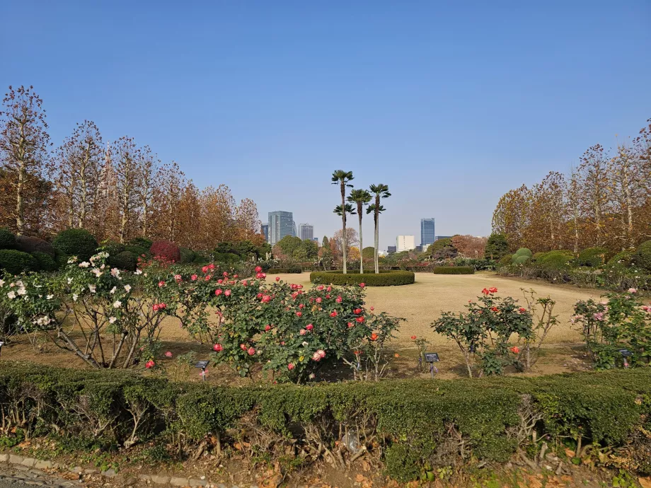 Šindžiuku Gjoeno nacionalinis sodas