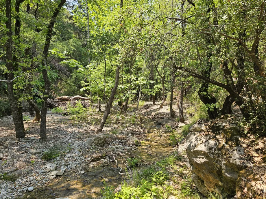 Drugelių slėnis
