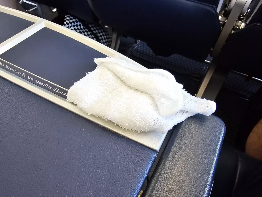 Gaivinantis rankšluostis