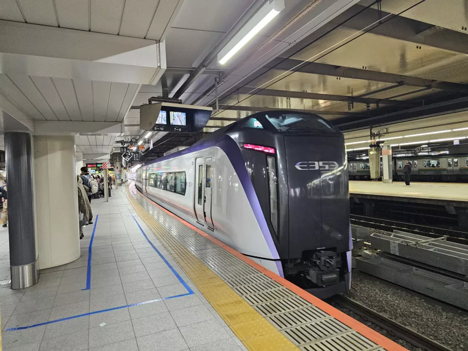 Traukinys FUJI EXCURSION