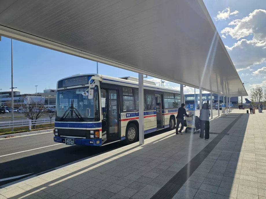 Pervežimas autobusu nuo terminalų iki laivo prieplaukos