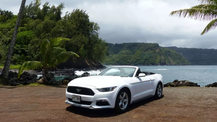Mustangas