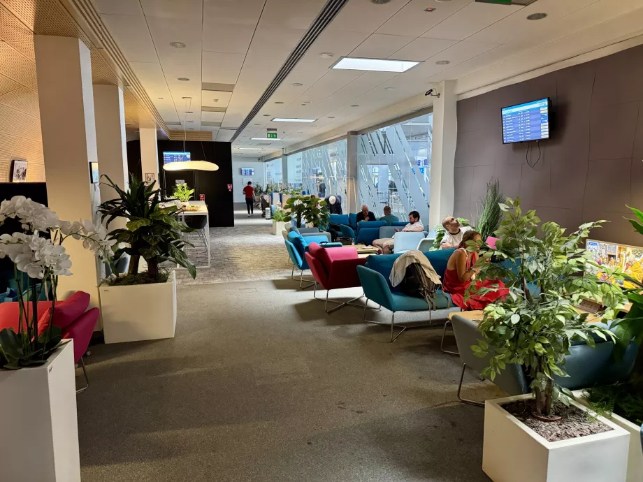 Salono galinė dalis