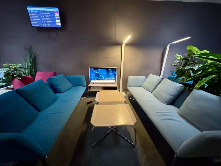 Patogūs sėdimieji baldai salono gale