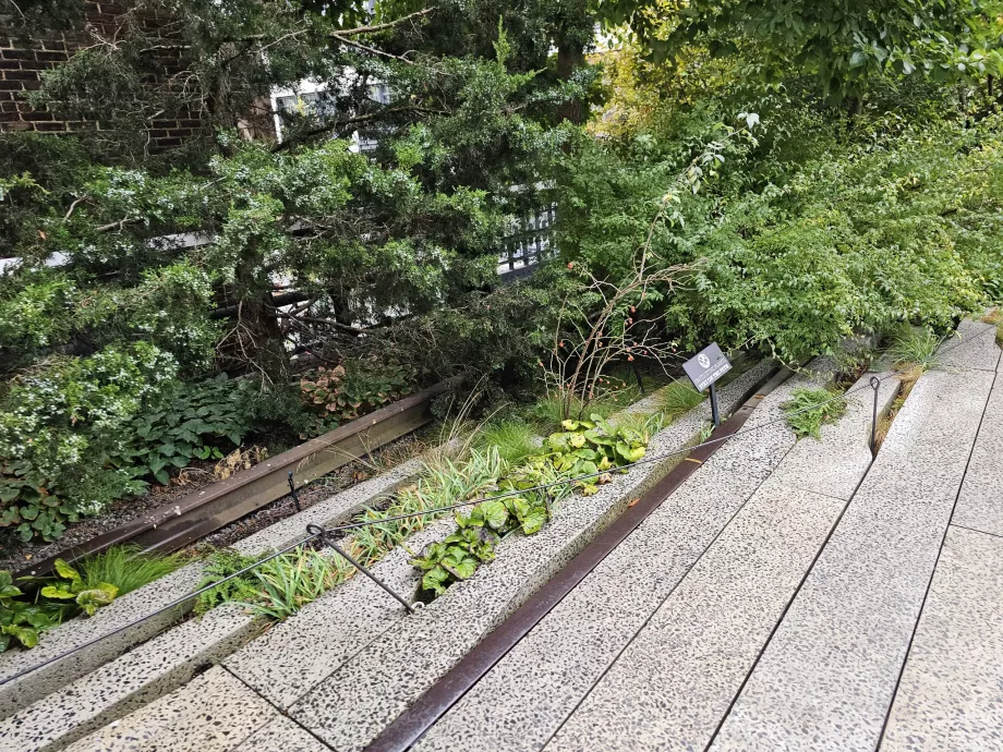 "High Line