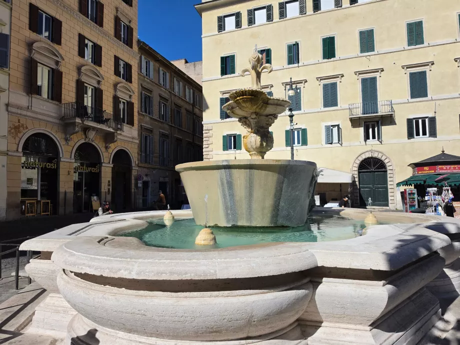 Campo de' Fiori, fontanas