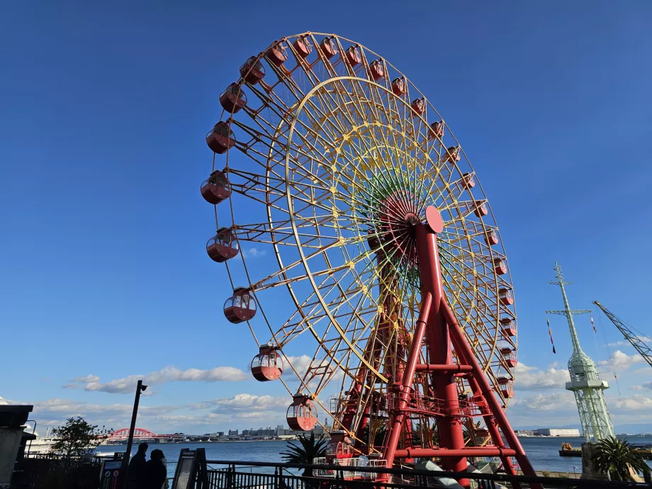 Rusų kalbos turas Harborlande