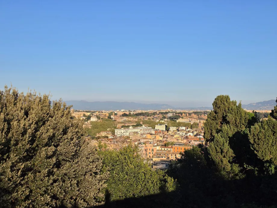 Giannicolo