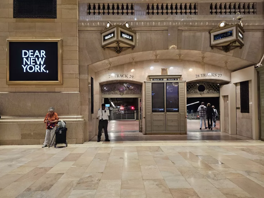 Didysis centrinis terminalas