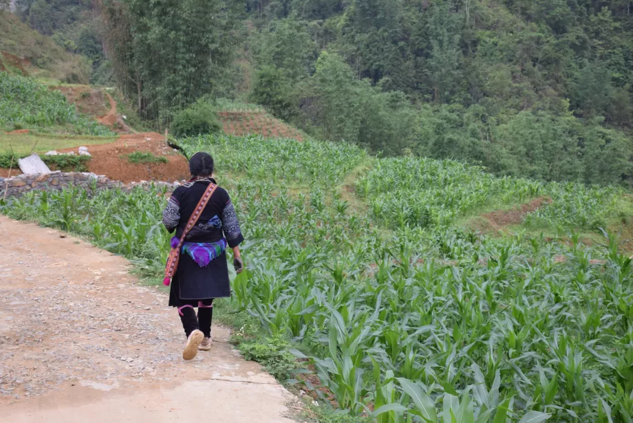 Sapa, Vietnamas
