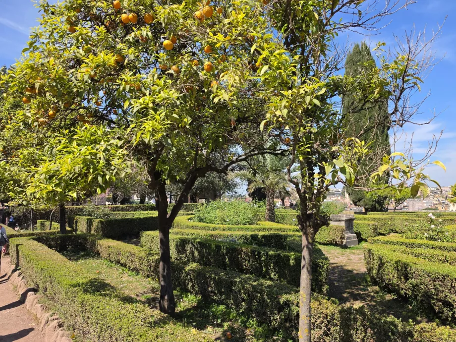 Palatinas