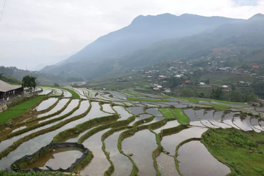 Sapa, Vietnamas