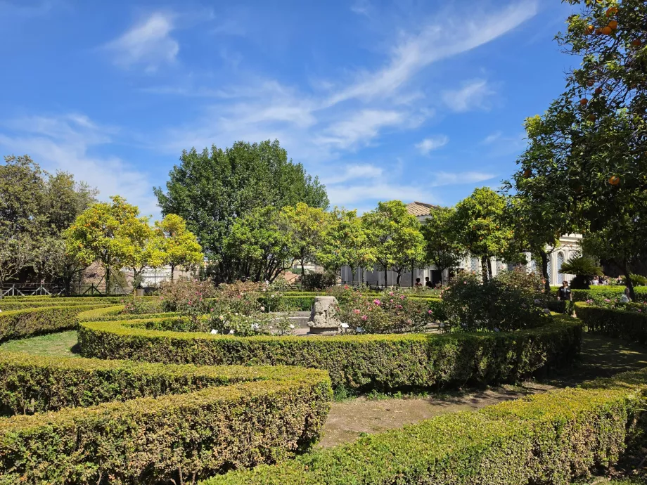 Palatinas