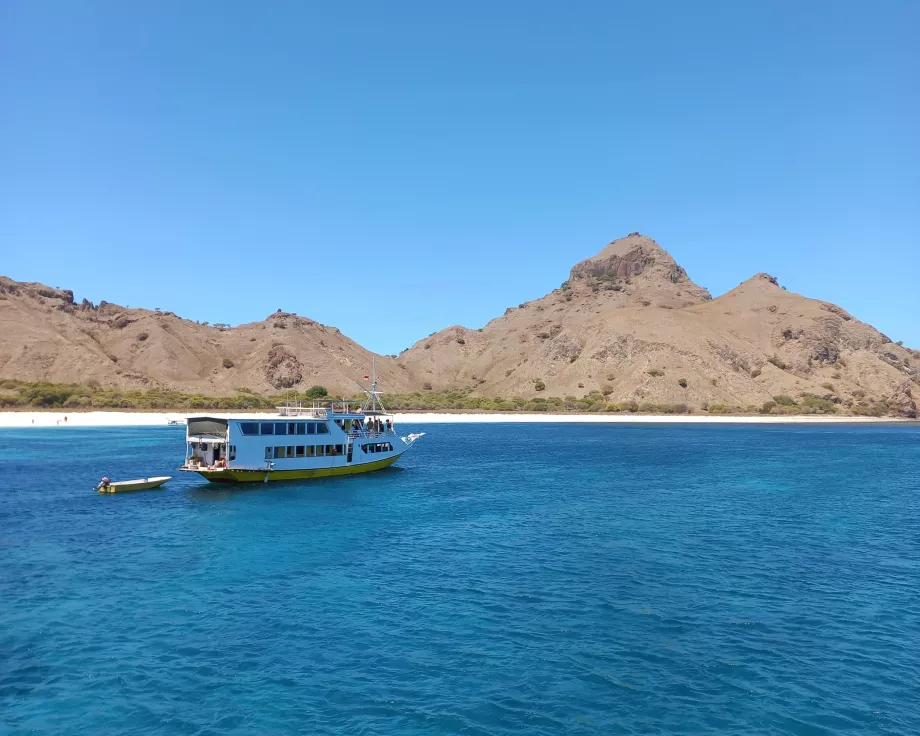 Rinca sala, Komodo salos, Indonezija