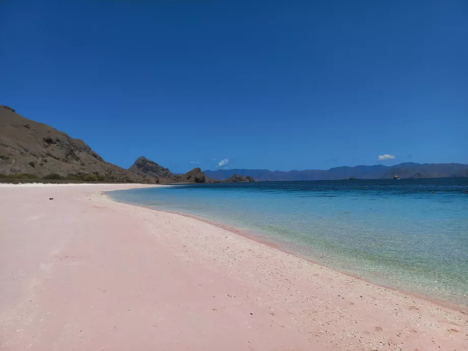 Rožinis paplūdimys, Komodo salos, Indonezija