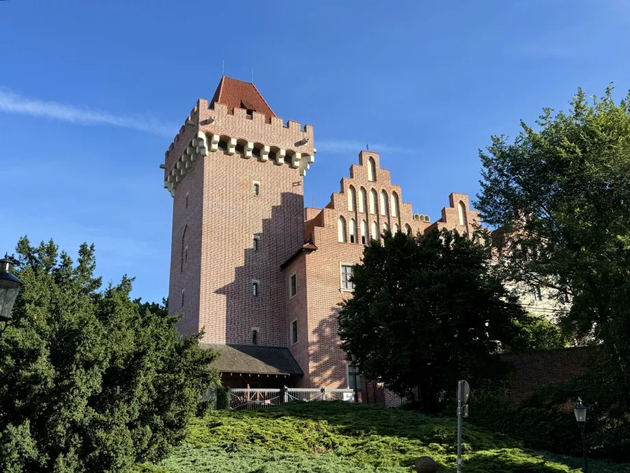 Karališkoji pilis