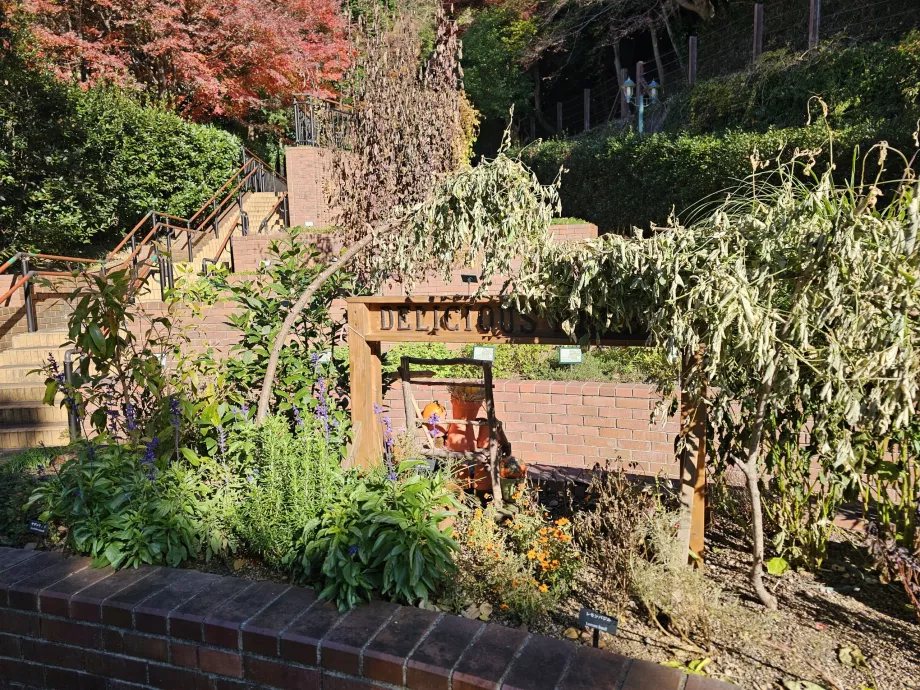 Nunobiki vaistažolių sodai