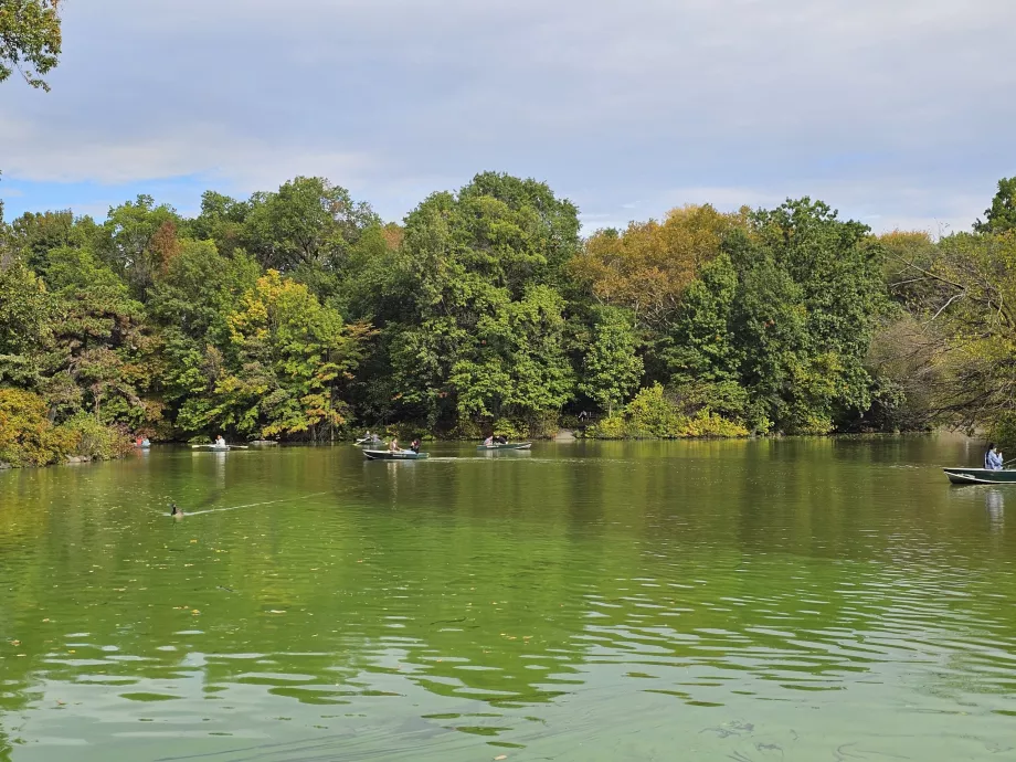 Ežeras Centriniame parke