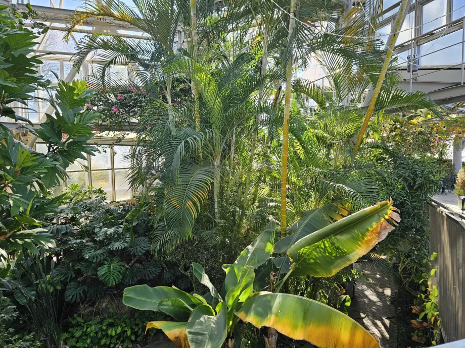 Šiltnamis Nunobiki vaistažolių soduose