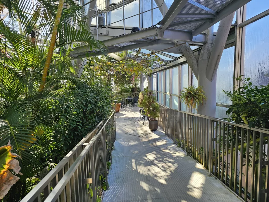 Šiltnamis Nunobiki vaistažolių soduose