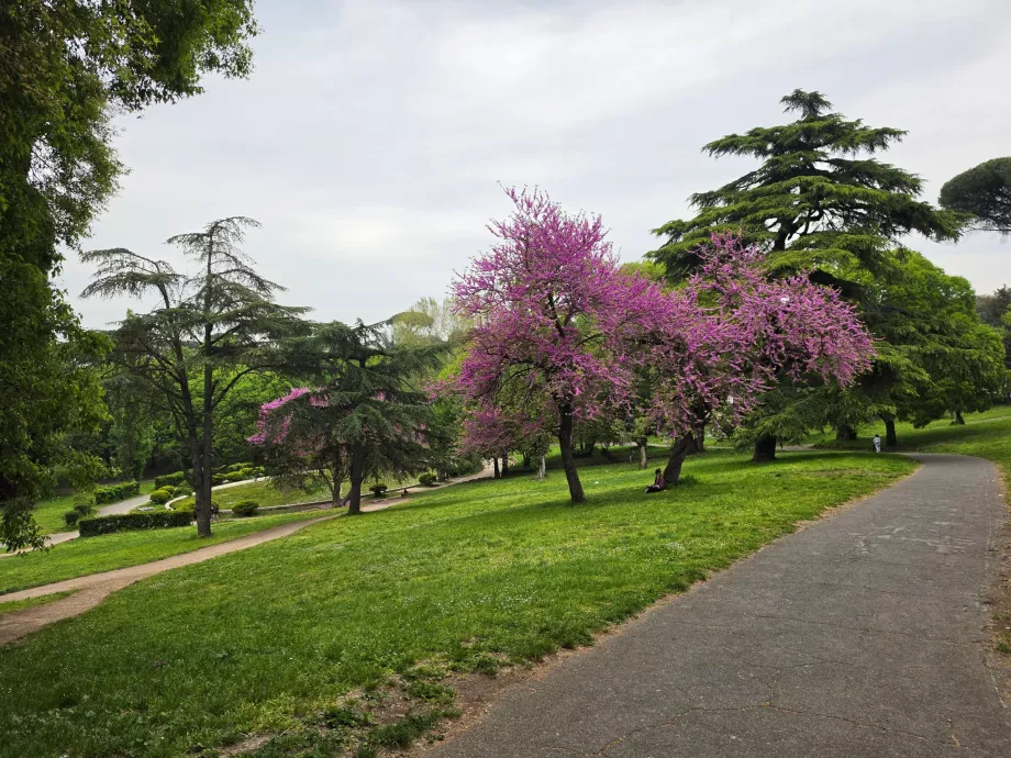 Parkas Villa Borghese