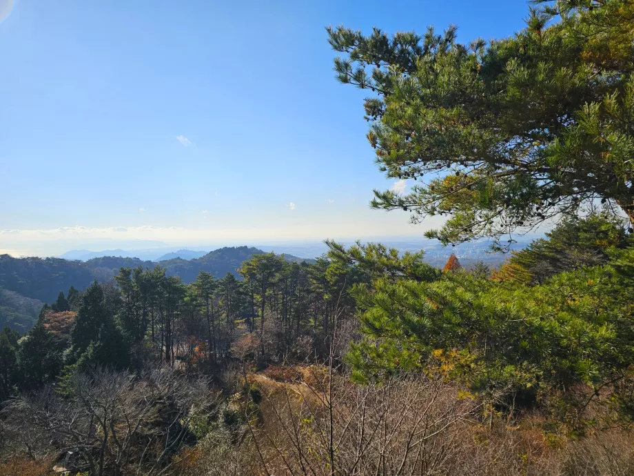 Tenjo-ji šventykla, vaizdas