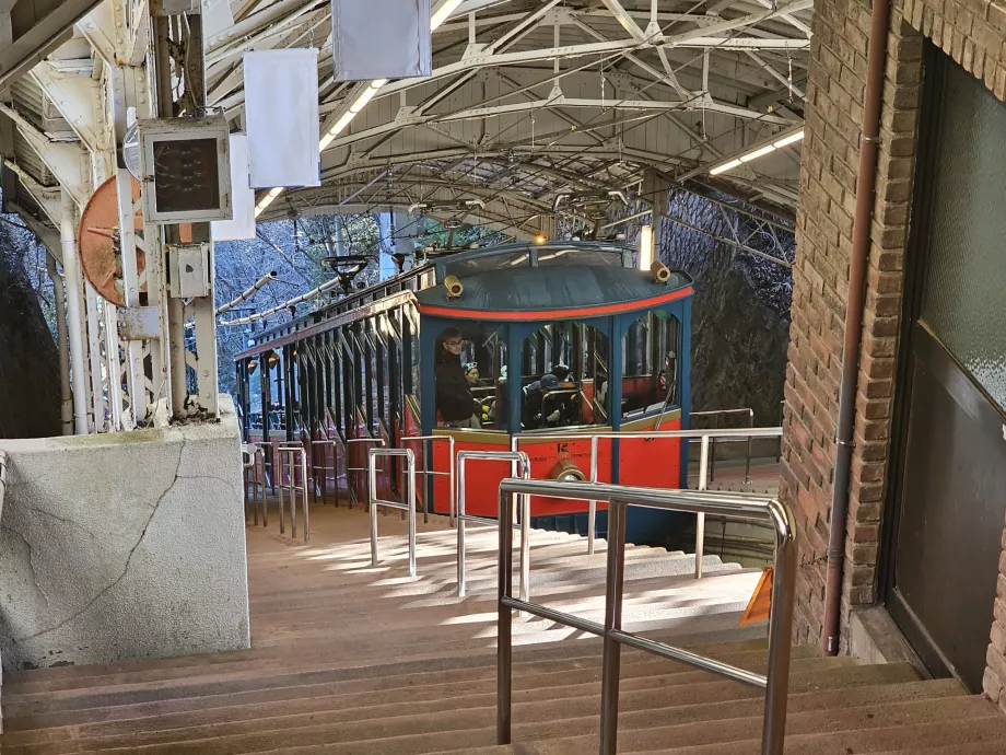 Lynų kelias Rokko kalnas