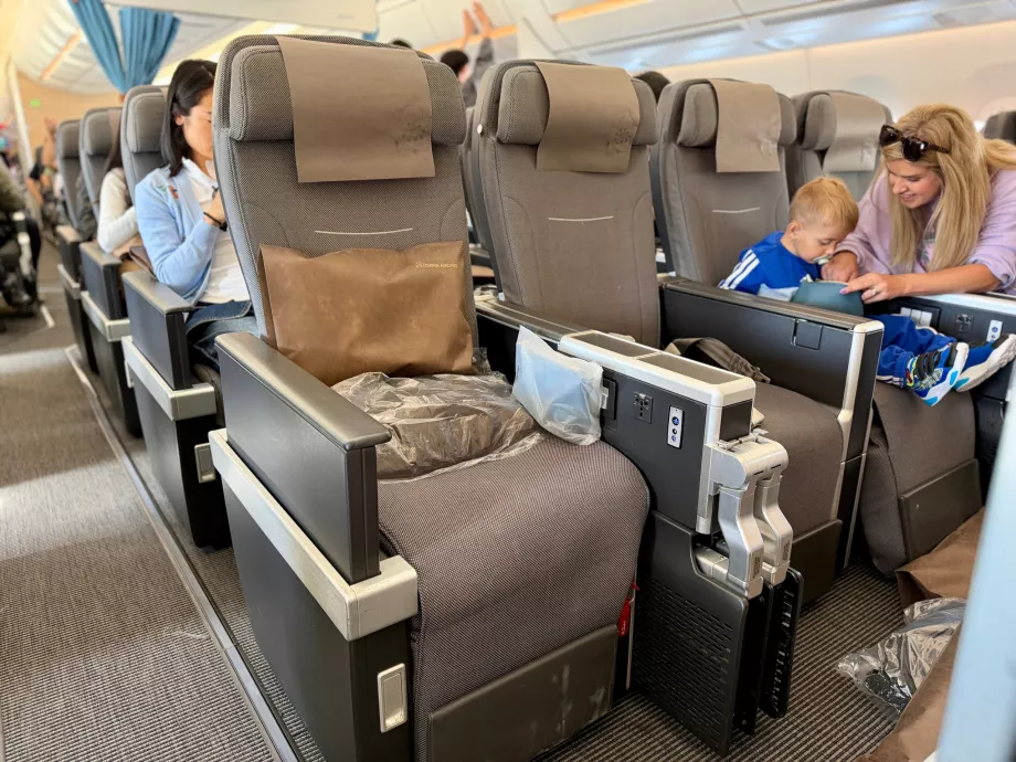 "Premium Economy" klasės sėdynės