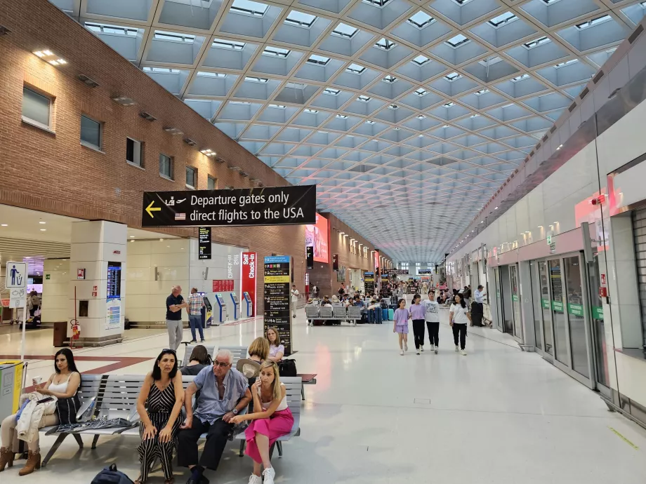 Saugumo patikra į JAV